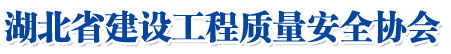 湖北省ok138太阳集团质量安全协会